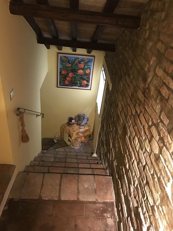B&B Aurora Domus D'A-Mare Pesaro Exteriör bild